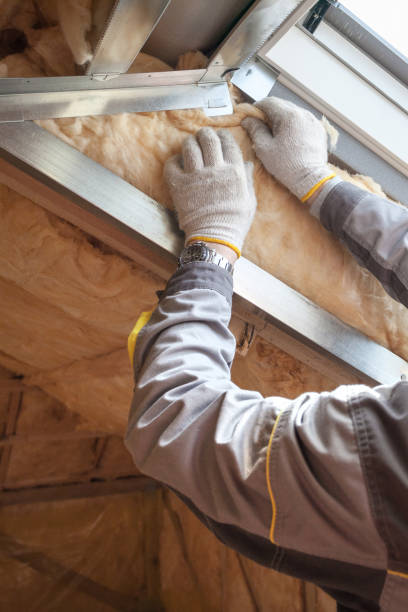 Best Insulation Maintenance and Repair in Gilroy, CA